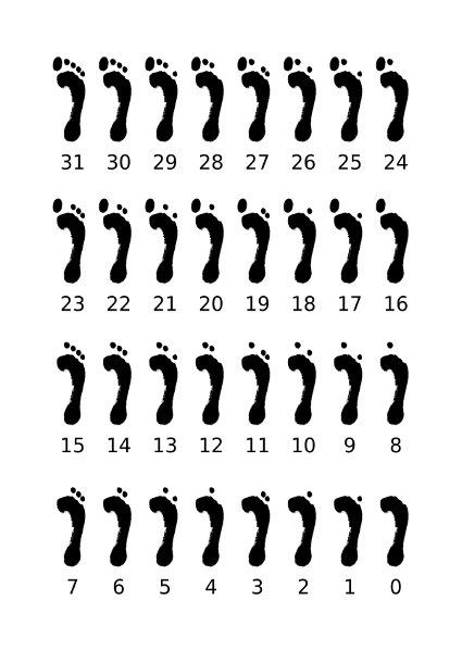 Binary toe counting